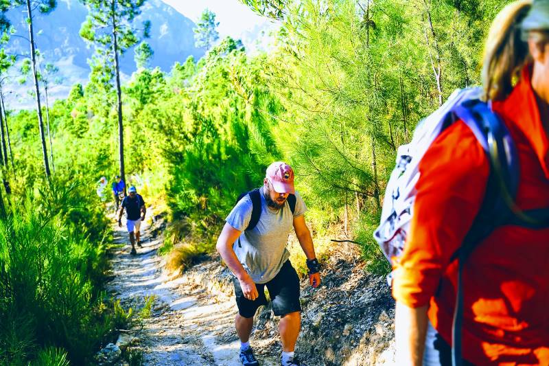 Adventure team celebrating on mountain peak