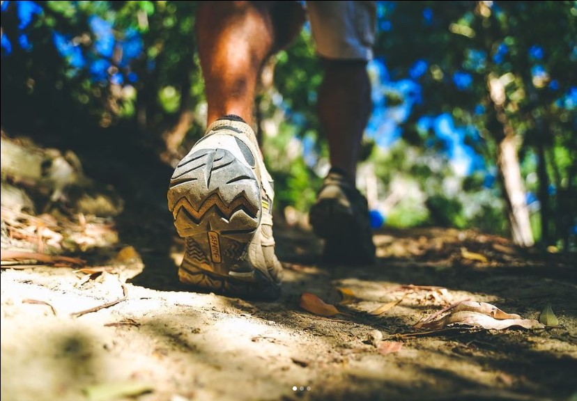 Hiking Shoe Close Up